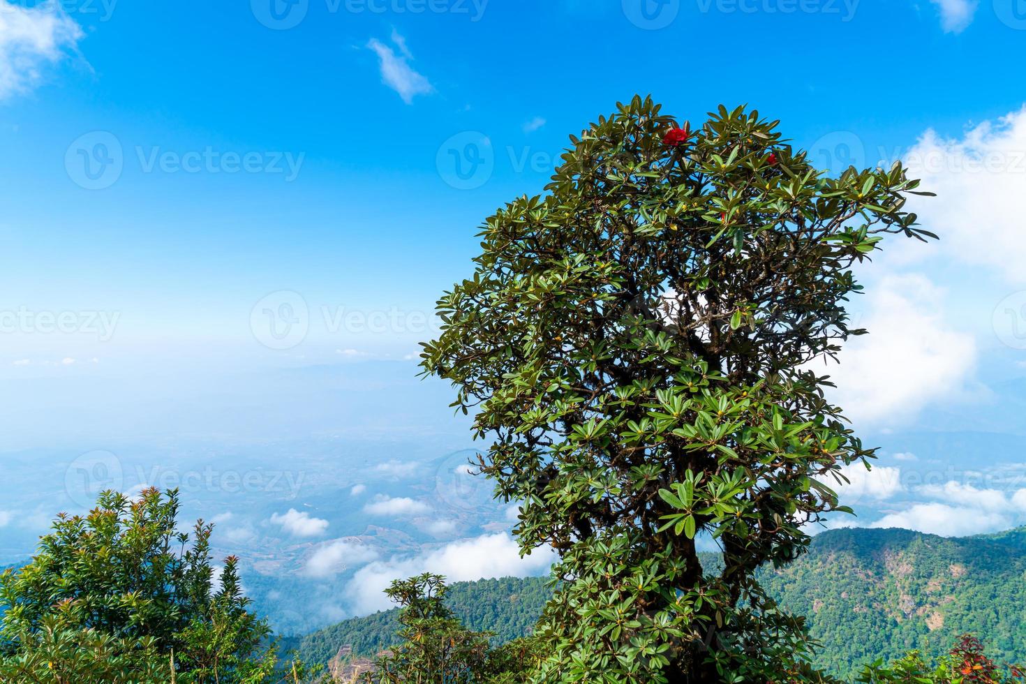 Beautiful mountain layer with clouds and blue sky at Kew Mae Pan Nature Trail in Chiang Mai, Thailand photo