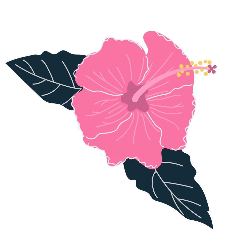 flor de hibisco dibujado a mano con hojas. concepto de flores tropicales exóticas. ilustración plana. vector