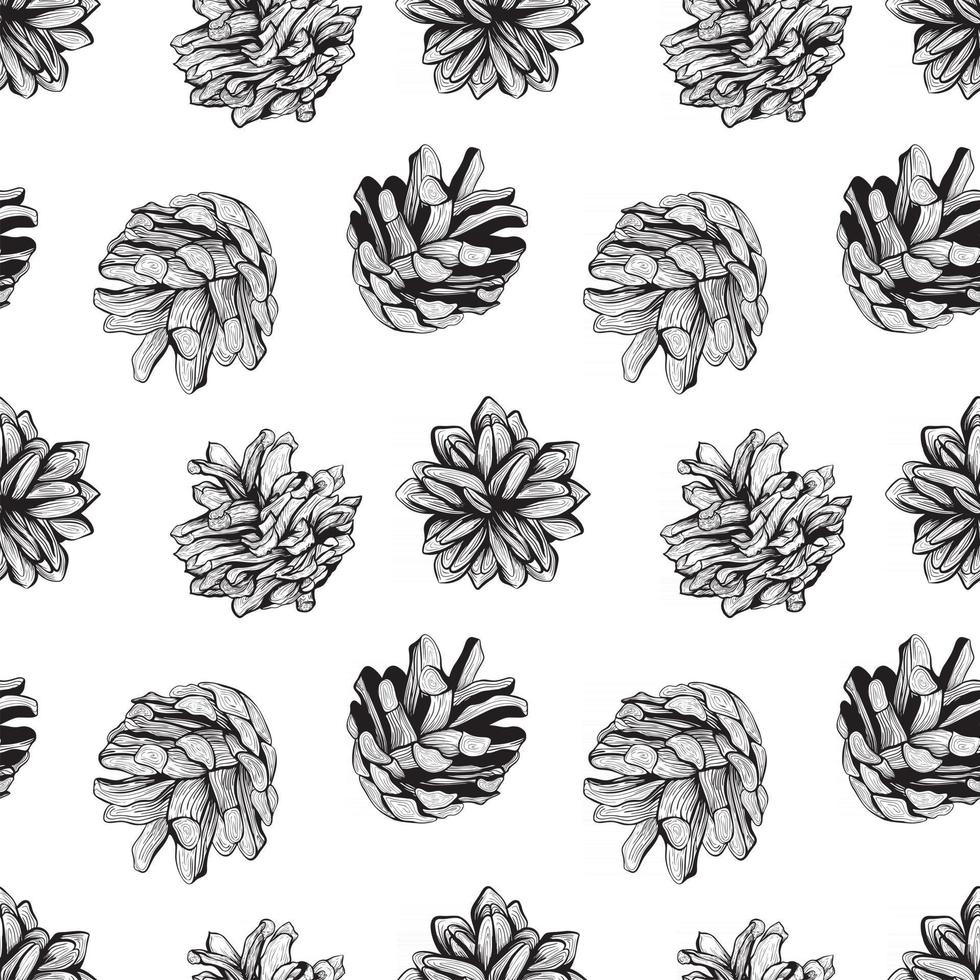 Diseño de fondo de patrón natural transparente blanco y negro con conos de pino ilustración vectorial vector