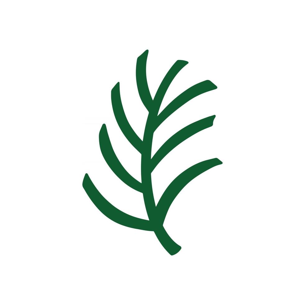 Green palm leaf. Tropical leaf on a white background. Vector illustration