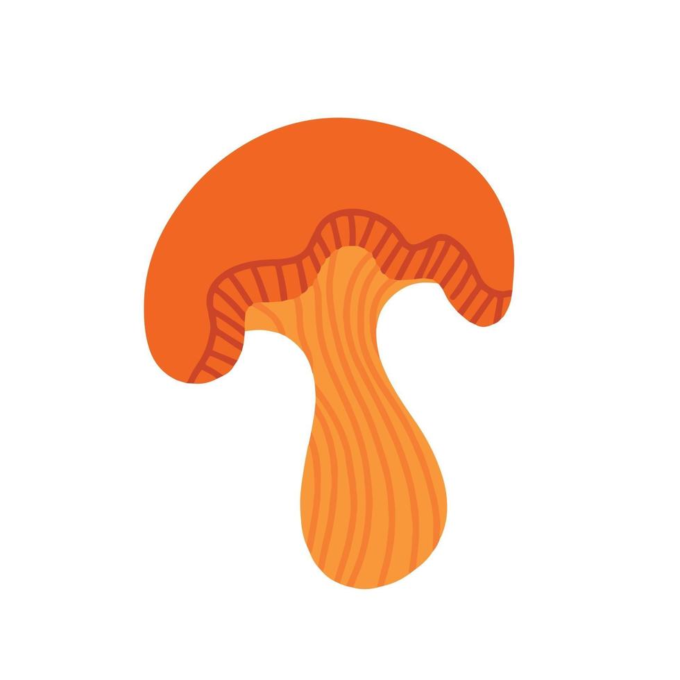 Chanterelle on a white background. Vector illustration in the doodle style