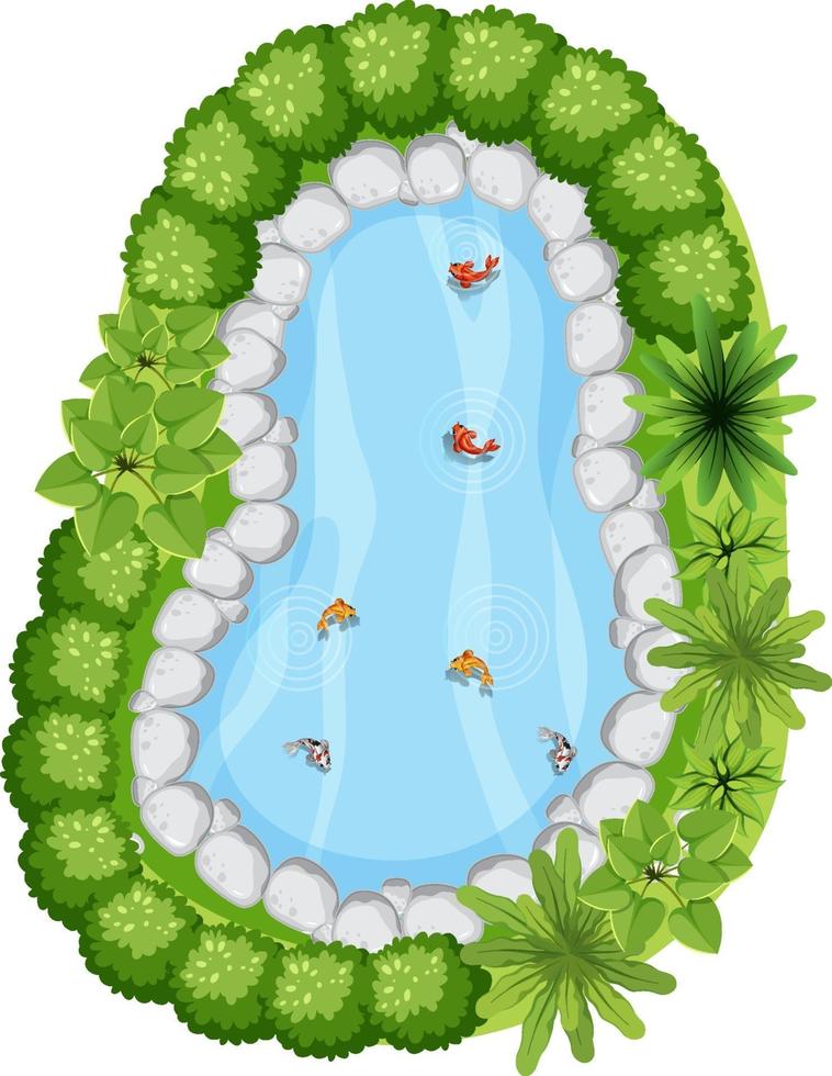 Aerial view with many fishes in nature pond vector