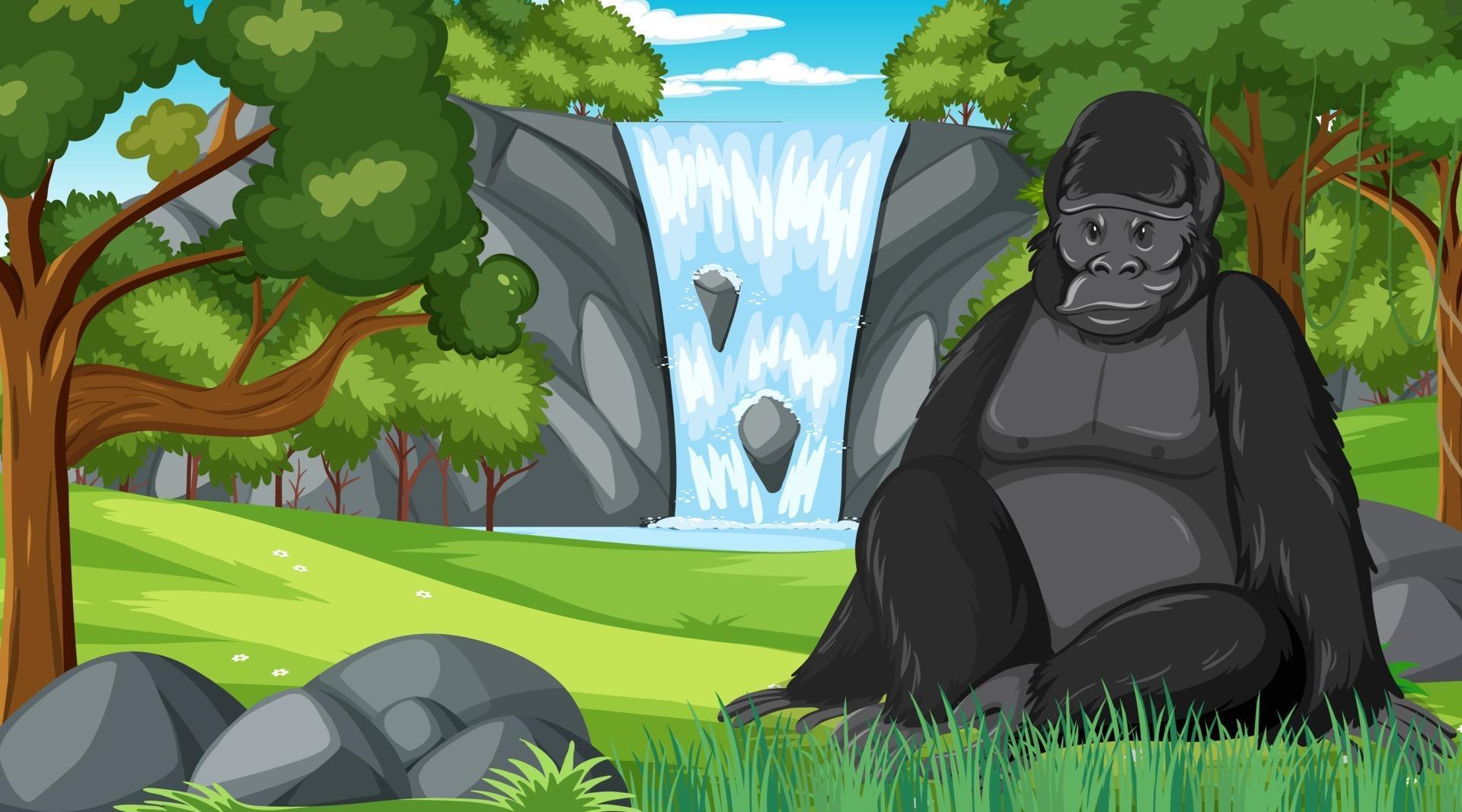 Gorilla in forest or rainforest scene with many trees 2882448 Vector
