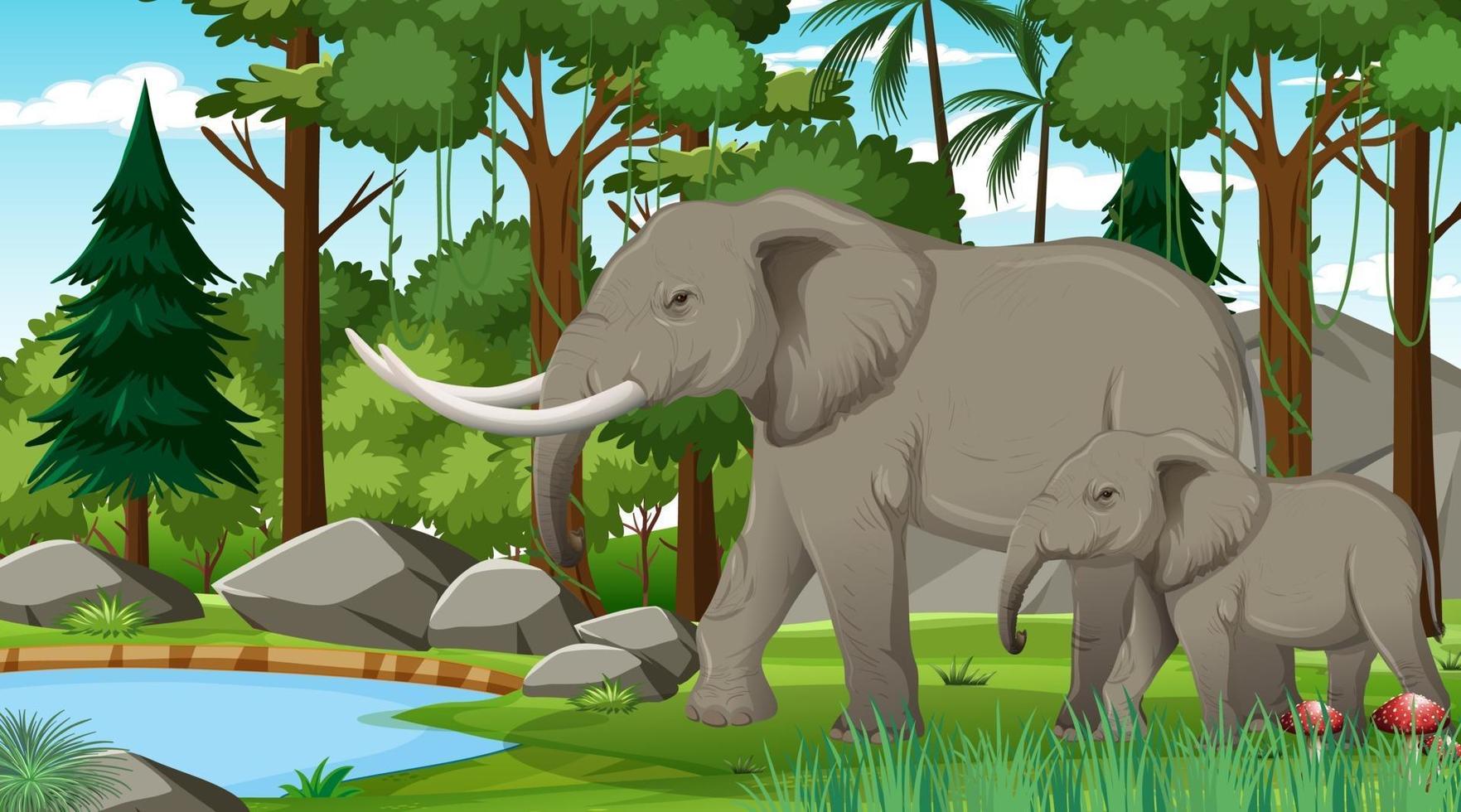 Mamá elefante y bebé en el bosque o la escena de la selva tropical con muchos árboles vector