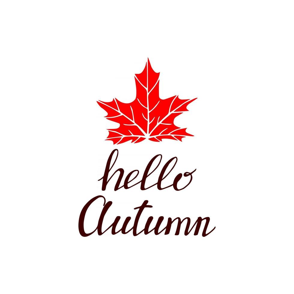 Set of the hand drawn lettering with decorative elements, autumn leaves. Text Hello autumn on the white background. Vector illustration. Perfect for prints, flyers, banners, invitations