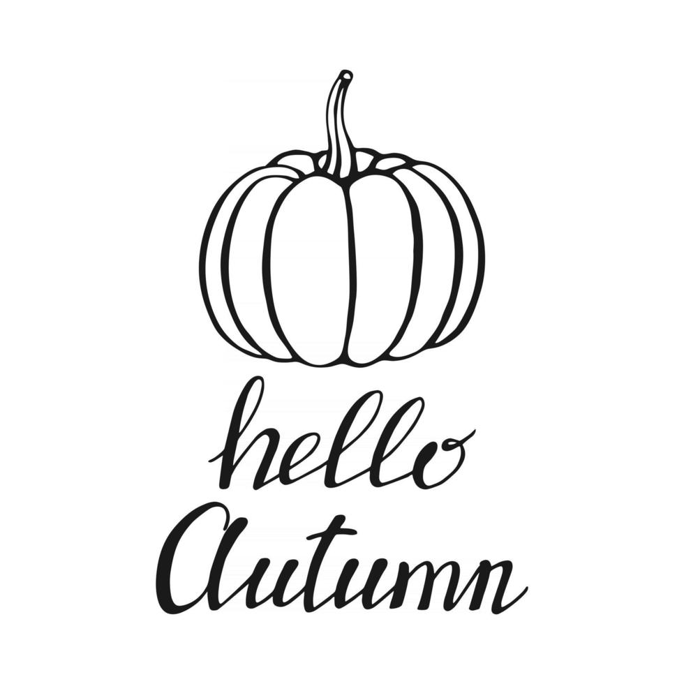 Hand drawn lettering with decorative elements, autumn leaves, pumpkin. Text Hello autumn on the white background. Vector illustration. Perfect for prints, flyers, banners, invitations