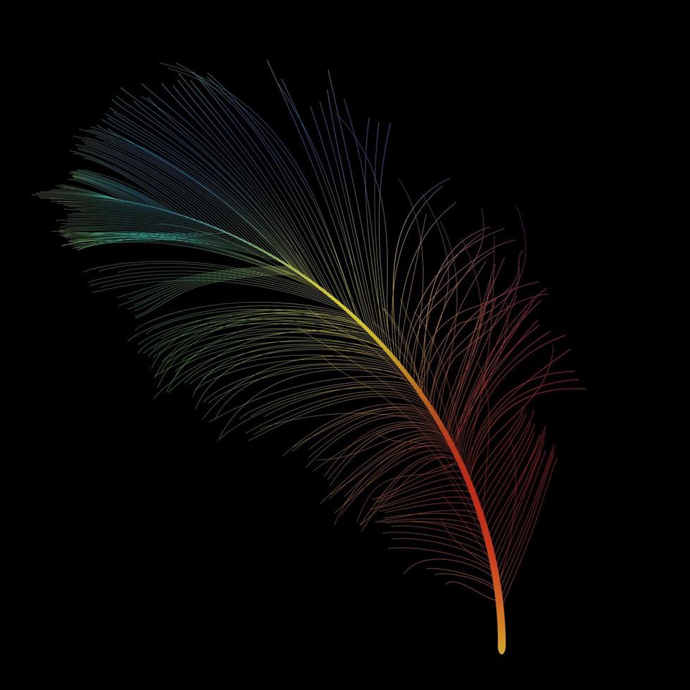 Bird Feather Hand Drawn Background Vector Illustration