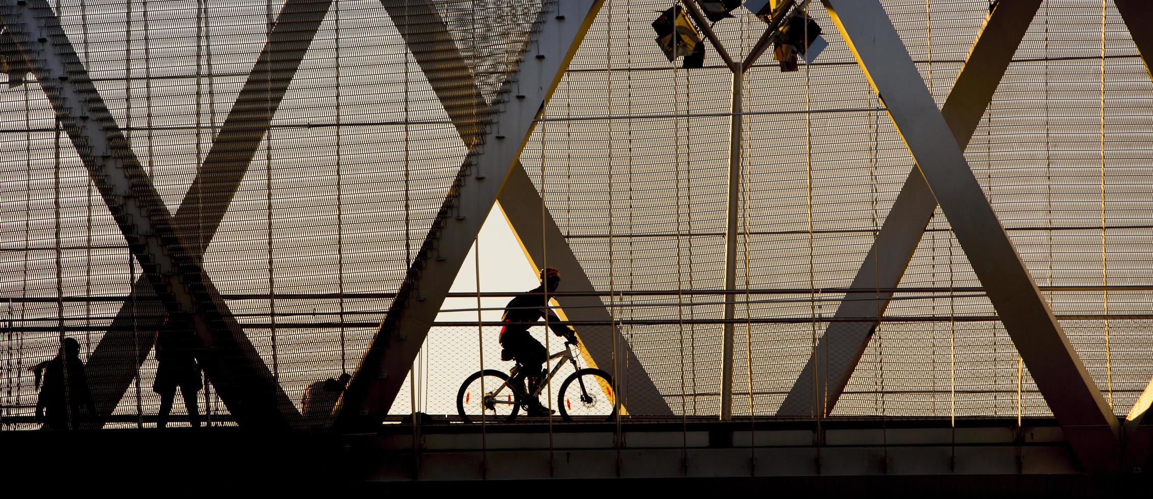 A cyclist pedaling on a catwalk in Madrid Rio Park, Spain photo