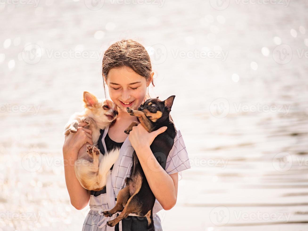 Girl with two chihuahuas in her arms in summer. Cute teenage girl smiling on a sunny day. girl, pet photo