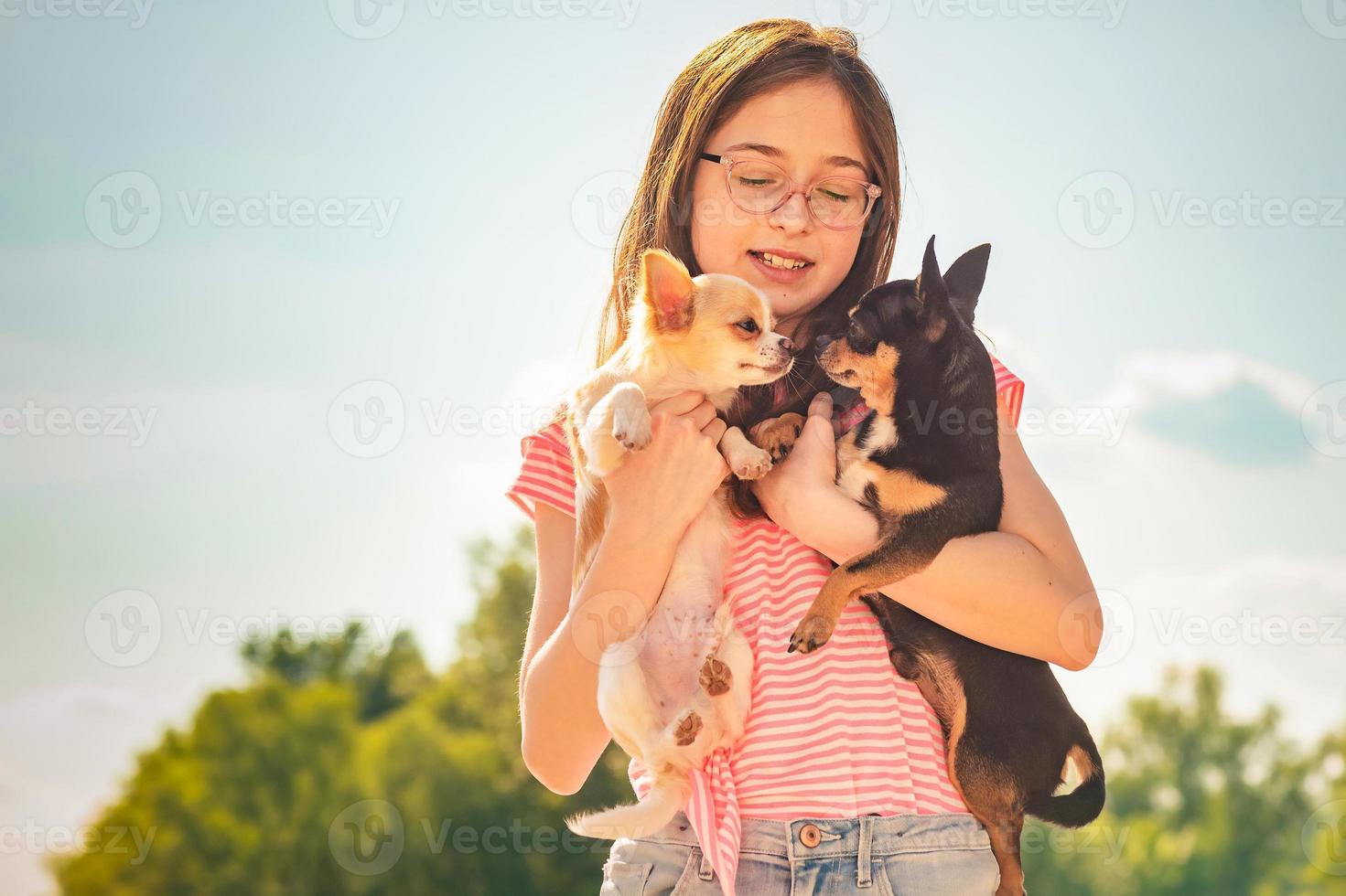 Two dogs in the arms of a teenage girl. black and white chihuahua. photo
