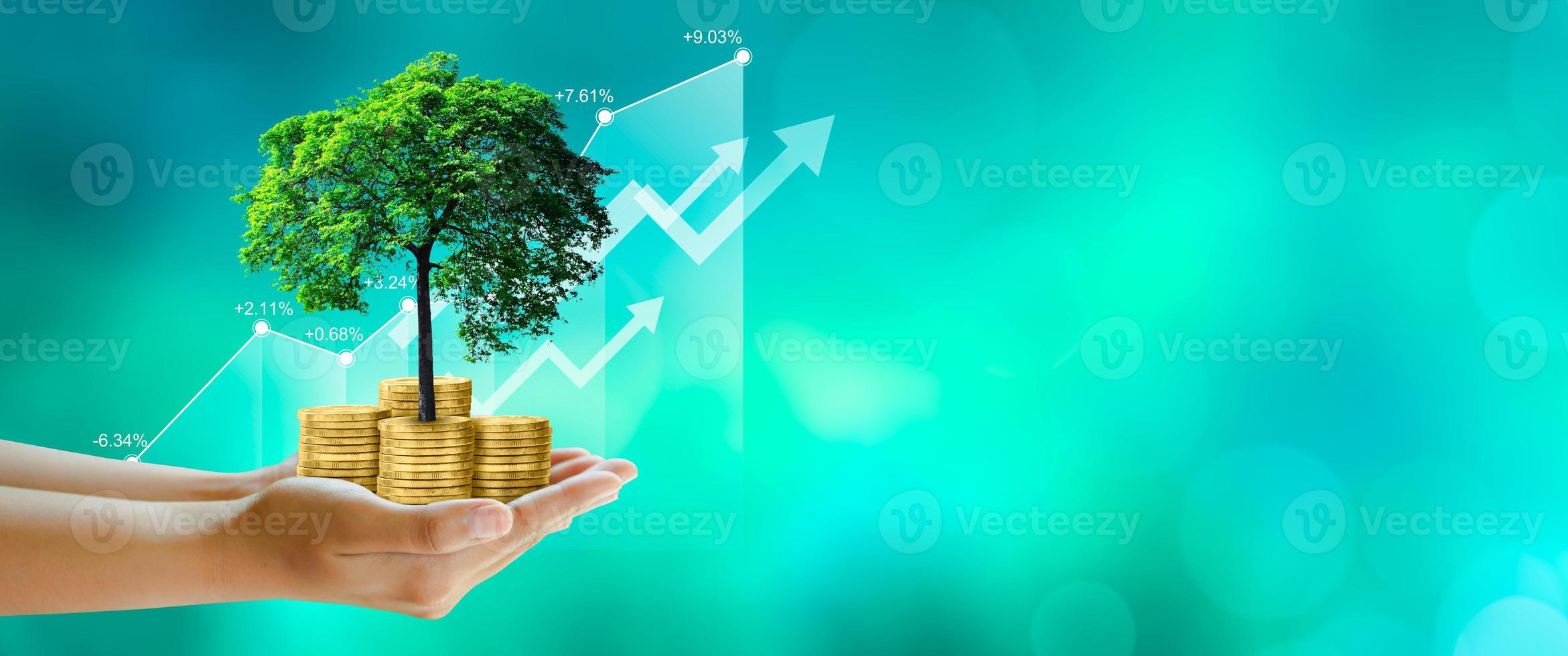 Mano sujetando el árbol en crecimiento en monedas con gráfico de stock sobre fondo verde foto