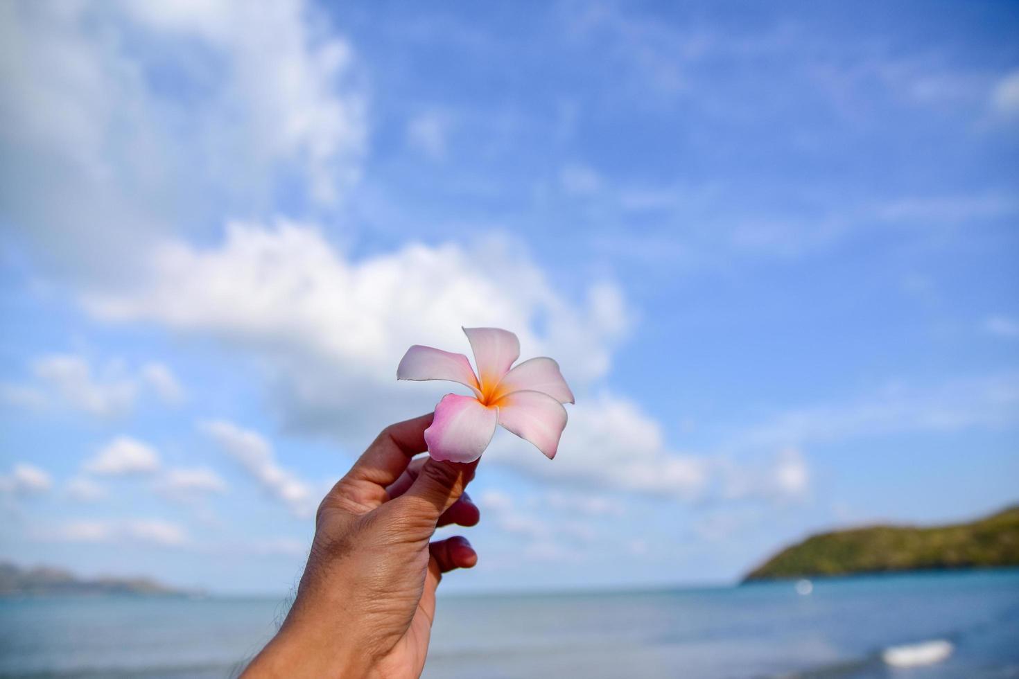 Hand holding flower at sea blue sky background photo