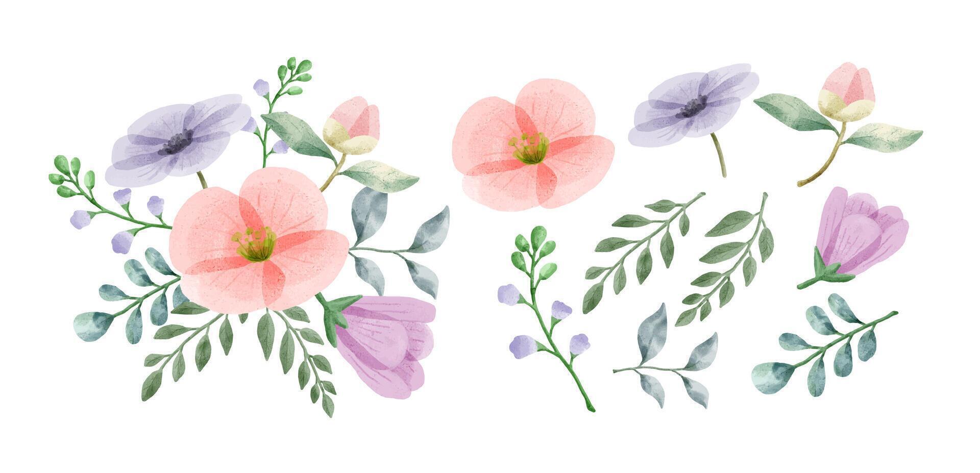 un conjunto de flores pintadas en acuarela vector