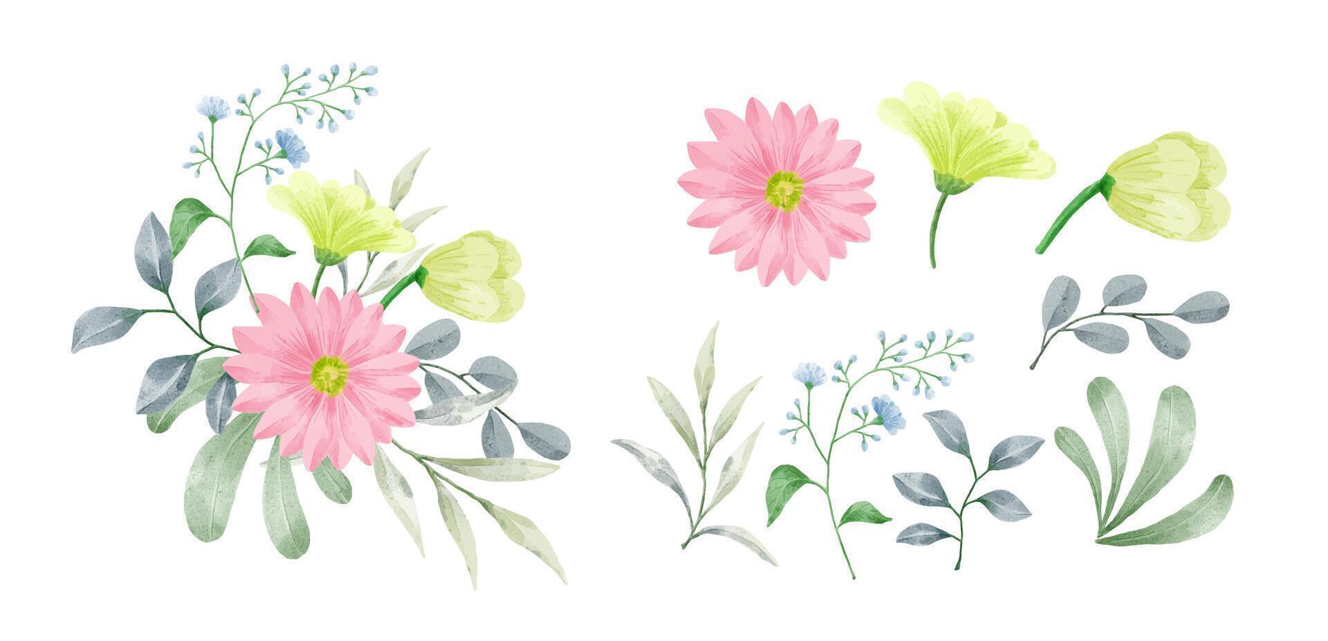 un conjunto de flores pintadas en acuarela vector