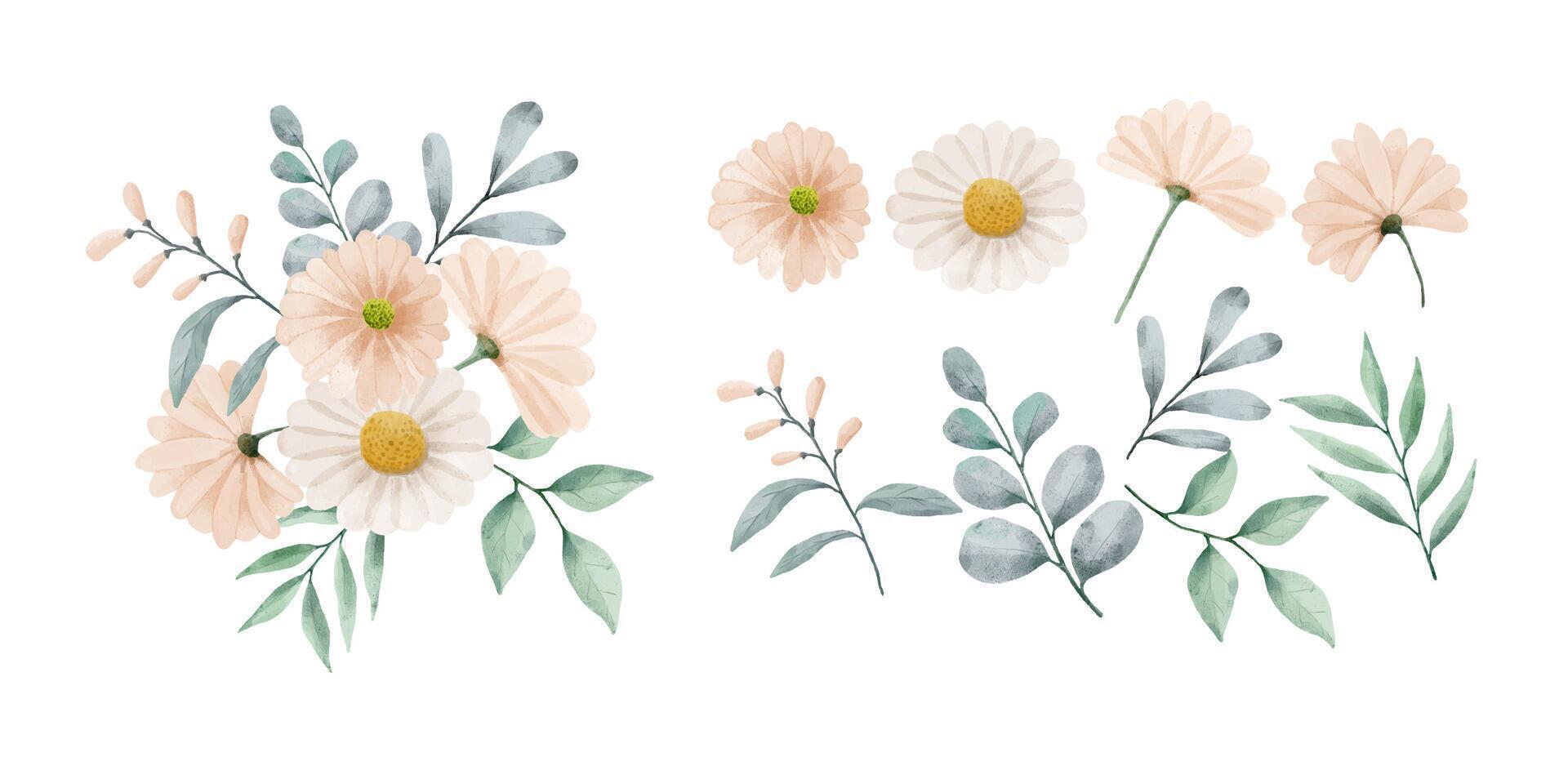 un conjunto de flores pintadas en acuarela vector