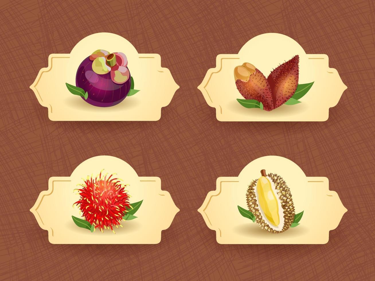 Vector logo for exotic thai fruits, fruits from thailand, packaging sticker, decorative badge with thai fruits illustration. Mangosteen, salacca, rambutan, durian. Vector illustration