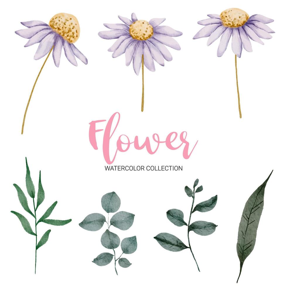 muchos tipos de hermosas flores en estilo acuarela vector