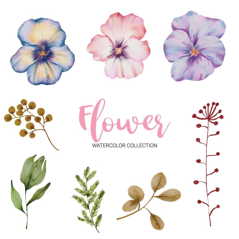 muchos tipos de hermosas flores en estilo acuarela vector