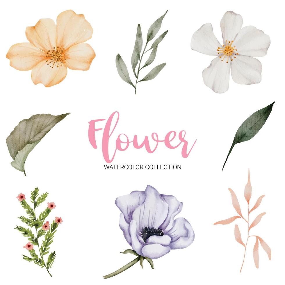 muchos tipos de hermosas flores en estilo acuarela vector