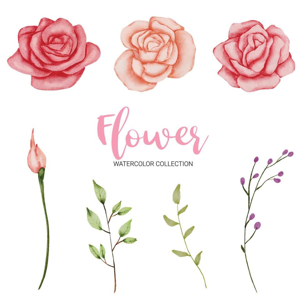 muchos tipos de hermosas flores en estilo acuarela vector