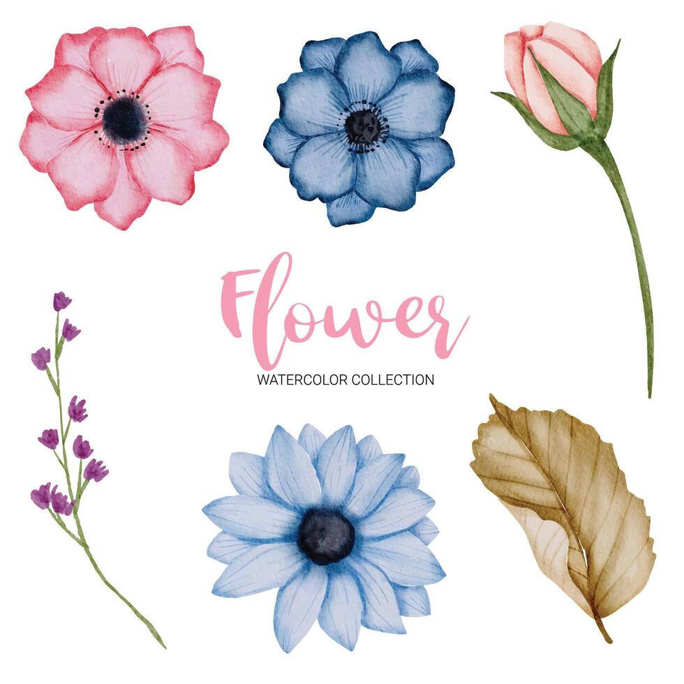 muchos tipos de hermosas flores en estilo acuarela vector