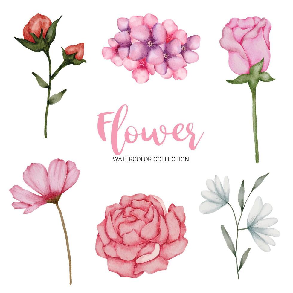 muchos tipos de hermosas flores en estilo acuarela vector