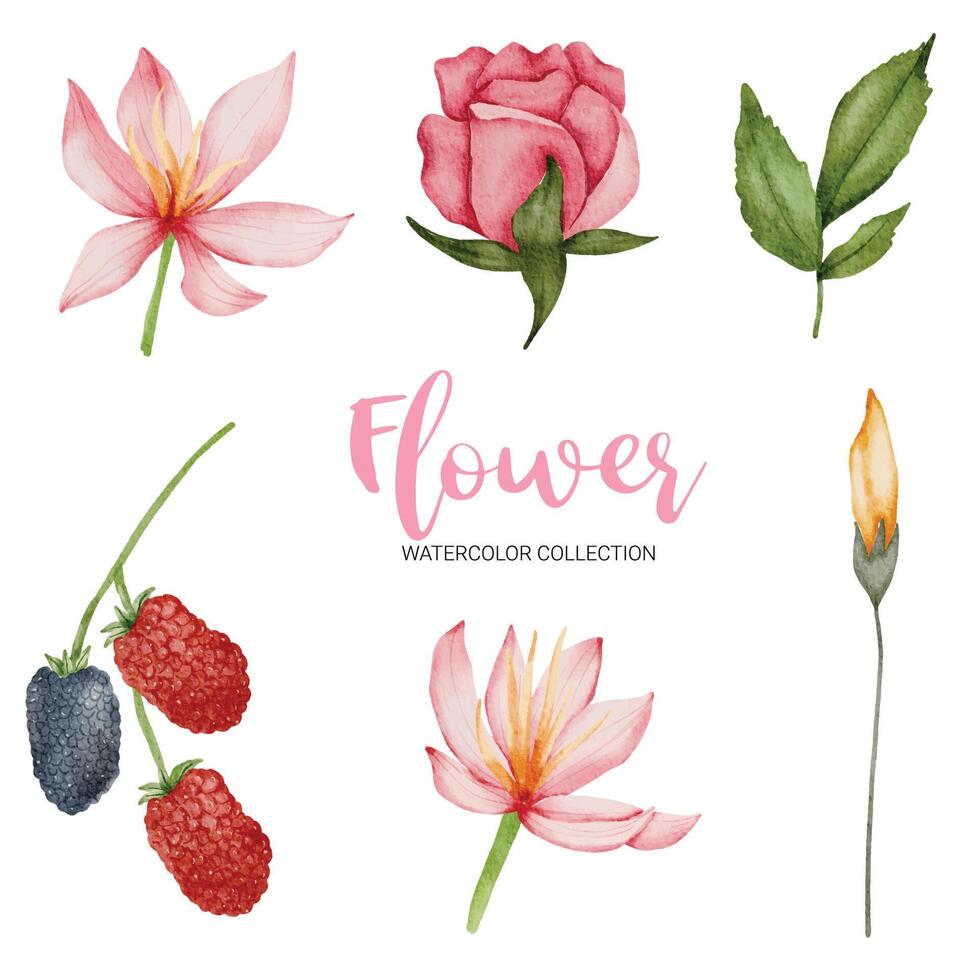 muchos tipos de hermosas flores en estilo acuarela vector