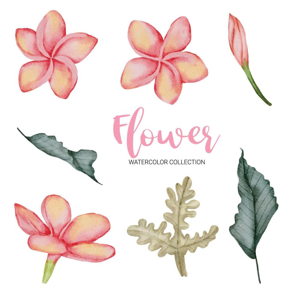 Many kinds of beautiful flowers in water color style vector