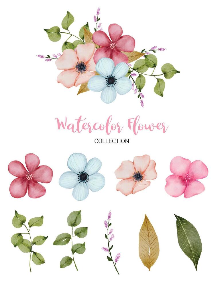 conjunto de hermosa flor en estilo de color de agua vector