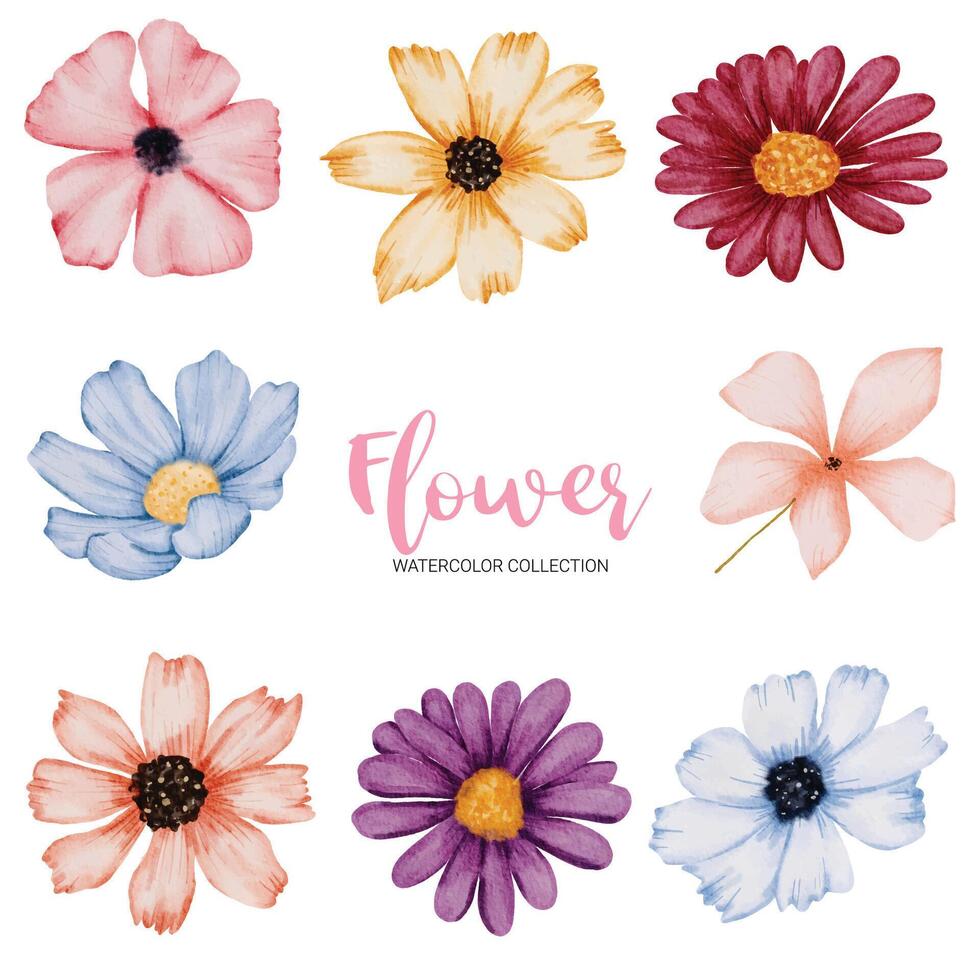 muchos tipos de hermosas flores en estilo acuarela vector