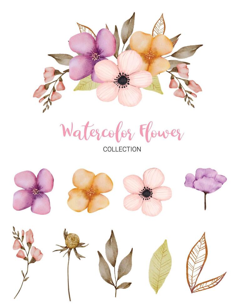 conjunto de hermosa flor en estilo de color de agua vector