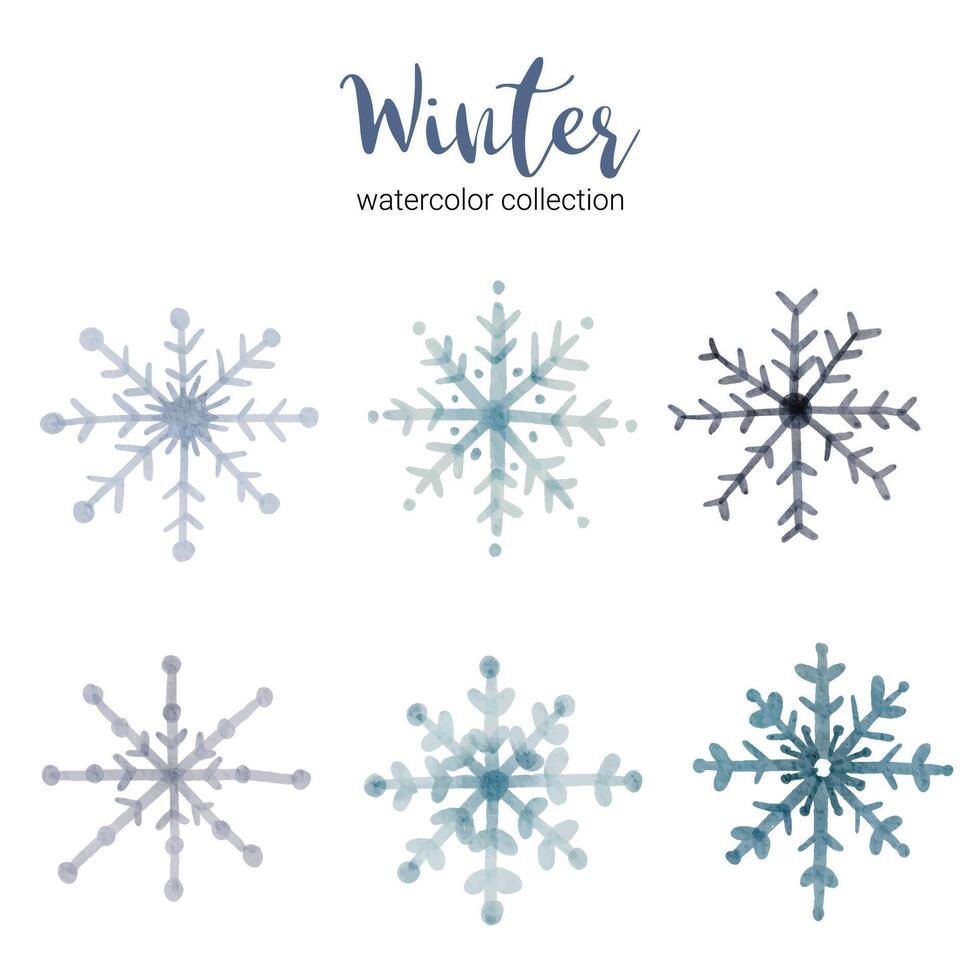 Winter watercolor collection with branches that symbolize cool, winter watercolor. vector