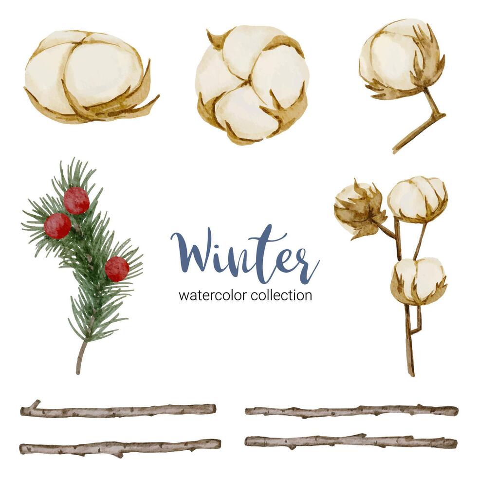 Winter watercolor collection with branches, leaves and flowers vector