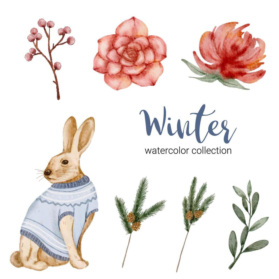 Winter watercolor collection with leaves, flowers and rabbit, winter watercolor vector