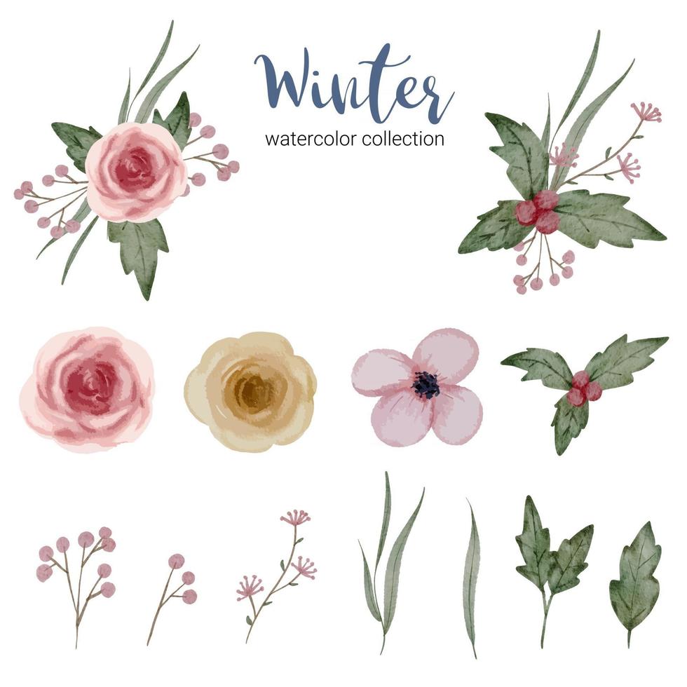 Winter watercolor collection with branches, leaves and flowers vector