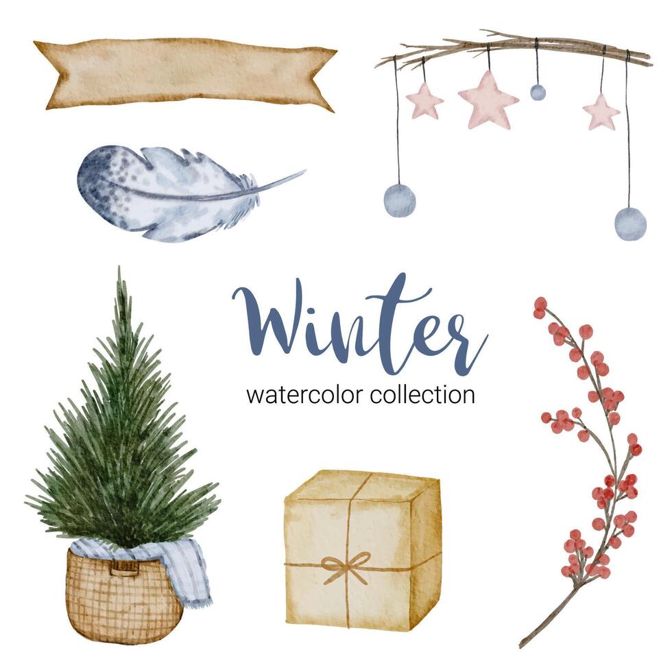 Winter watercolor collection with branches, leaves and flowers vector