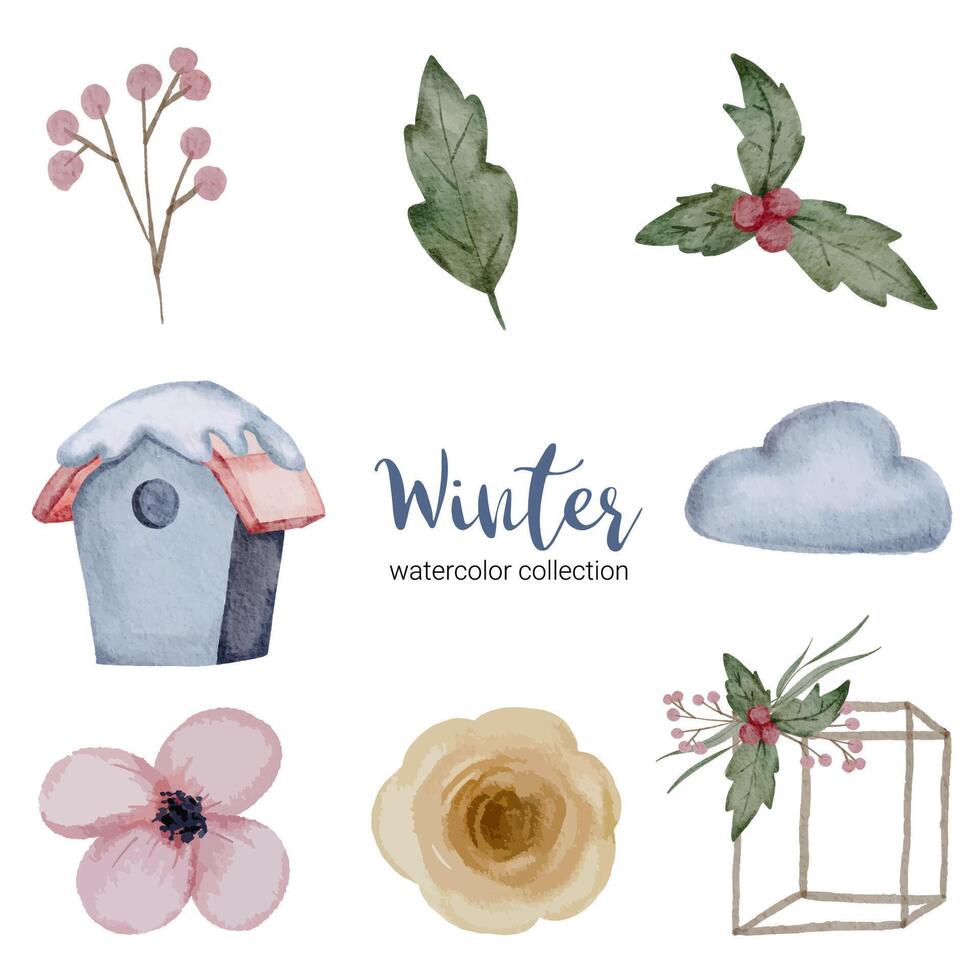 Winter watercolor collection with branches, leaves and flowers vector