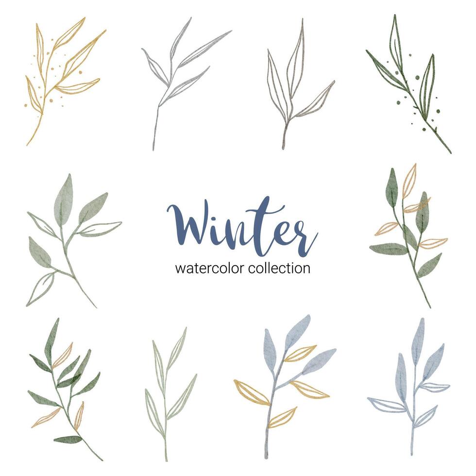 winter watercolor collection with various types of leaves vector