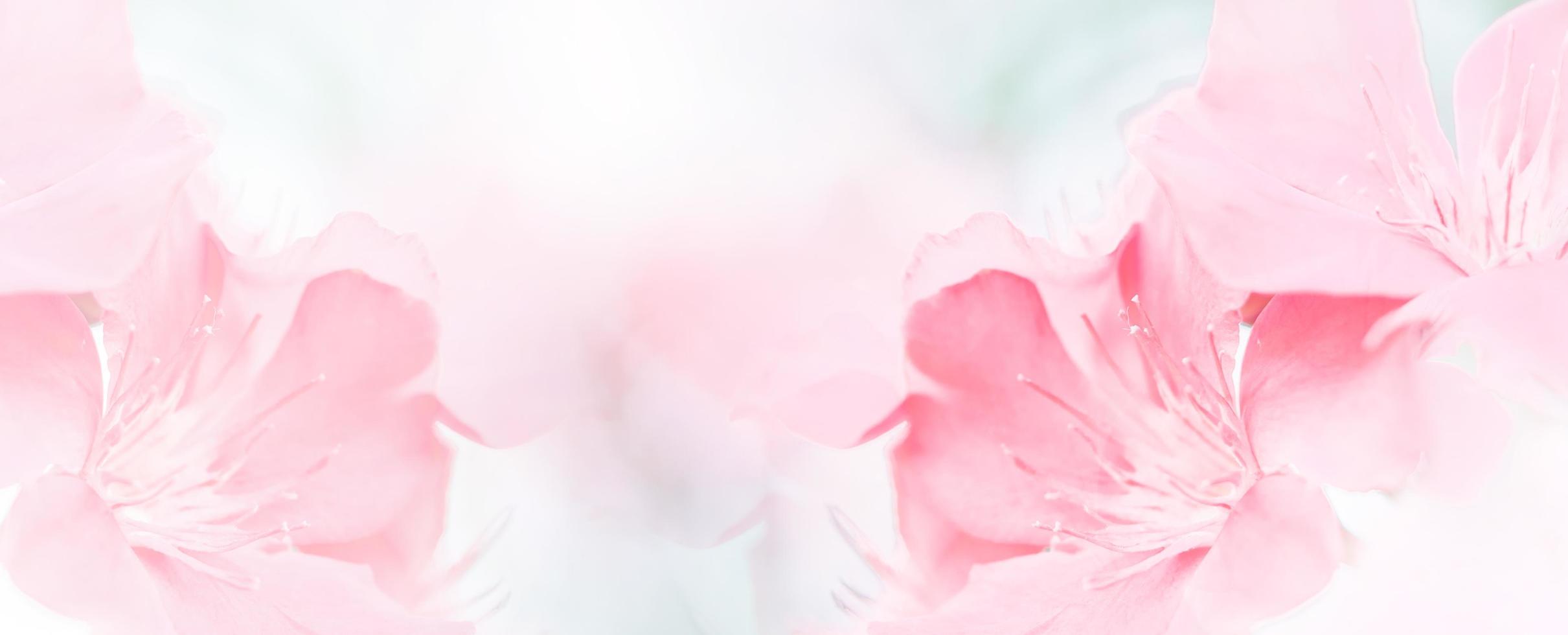 Pink red beautiful spring flower bloom branch background with free copy space for greeting card or environment cover page, template, web banner and header. photo