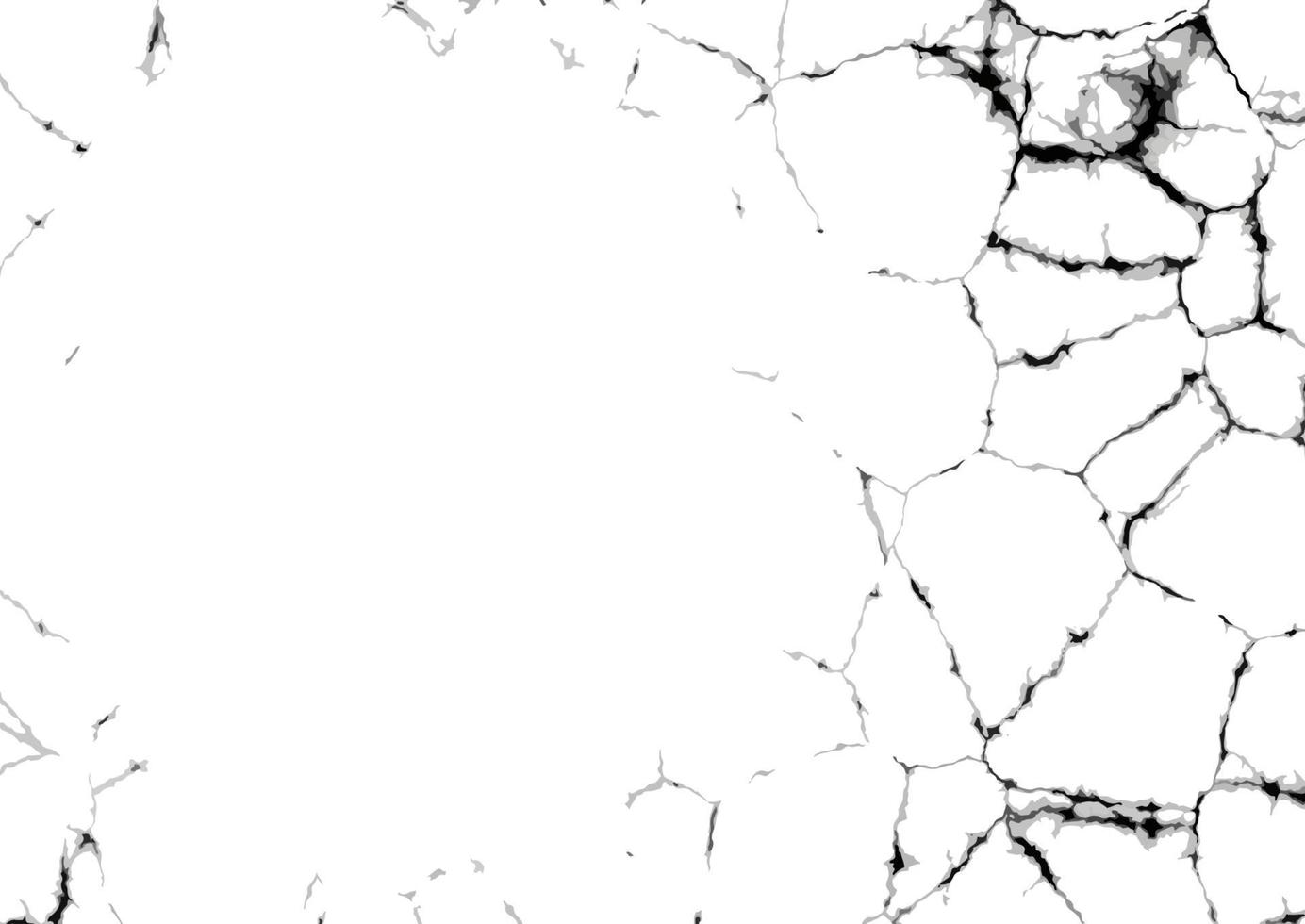 detailed cracked grunge texture vector