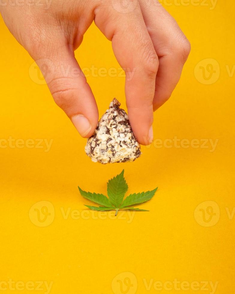 hand holds cannabis chocolates, recreational marijuana use photo