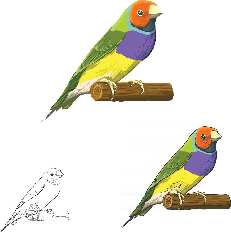 Bird Vector Art