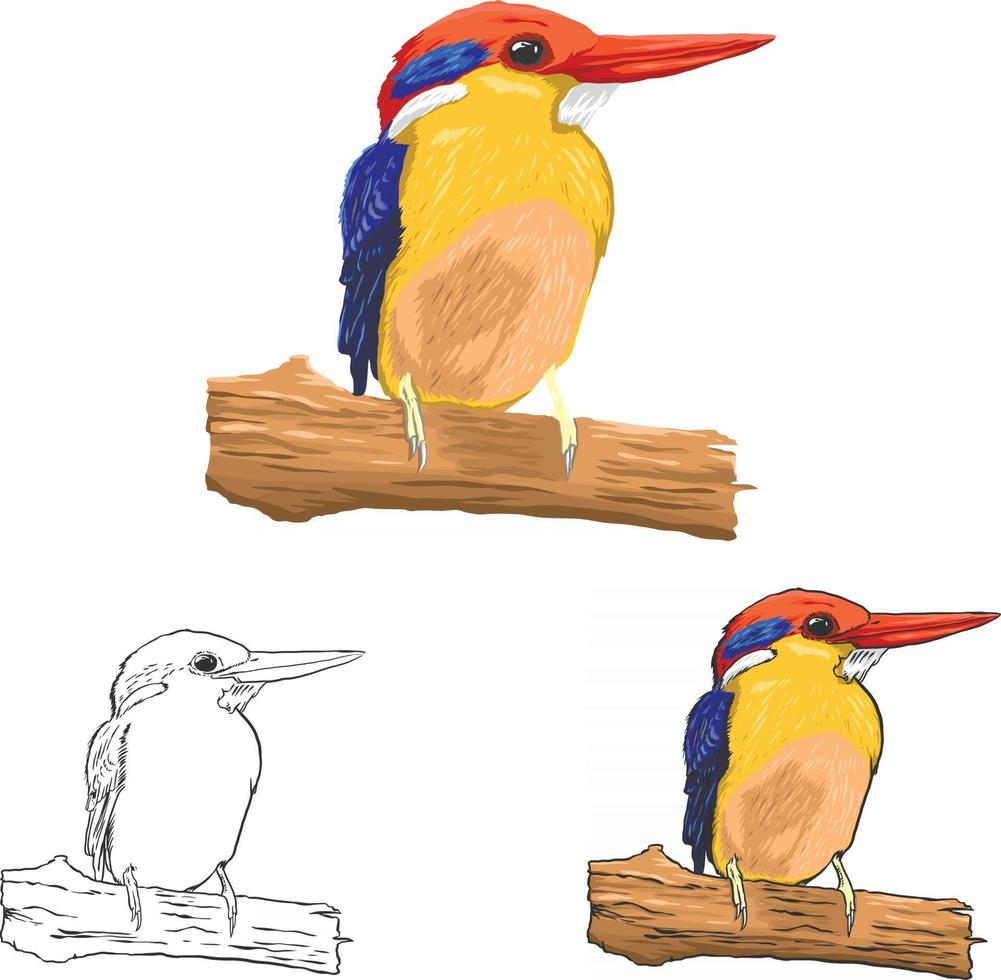 Bird Vector Art