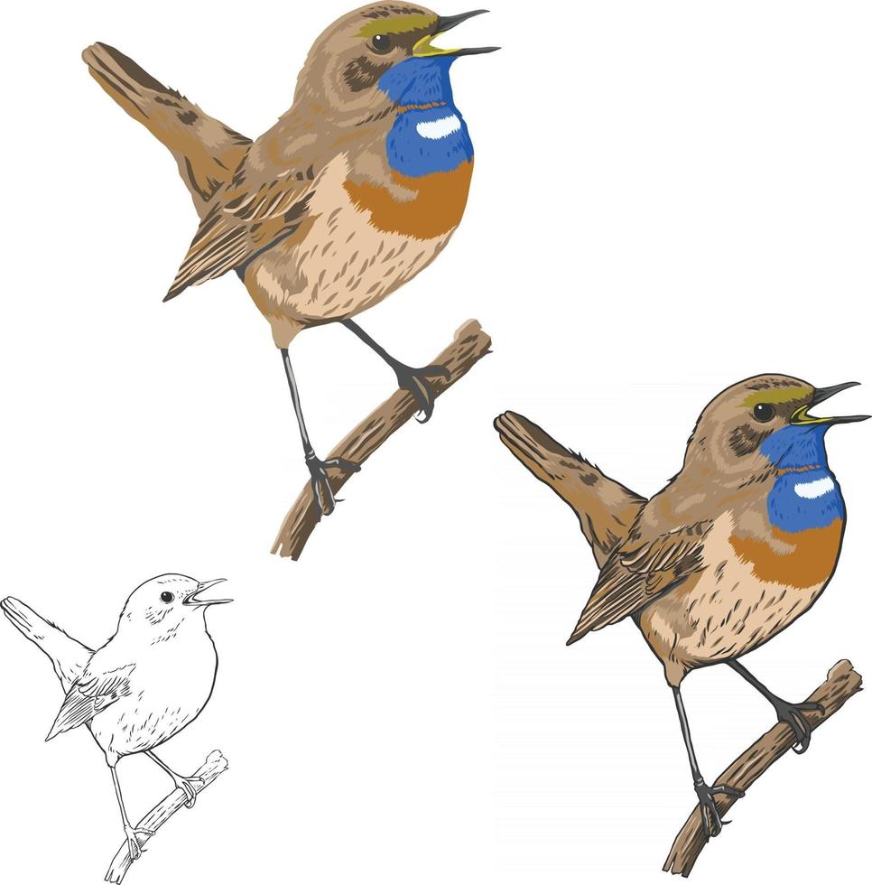 Bird Vector Art