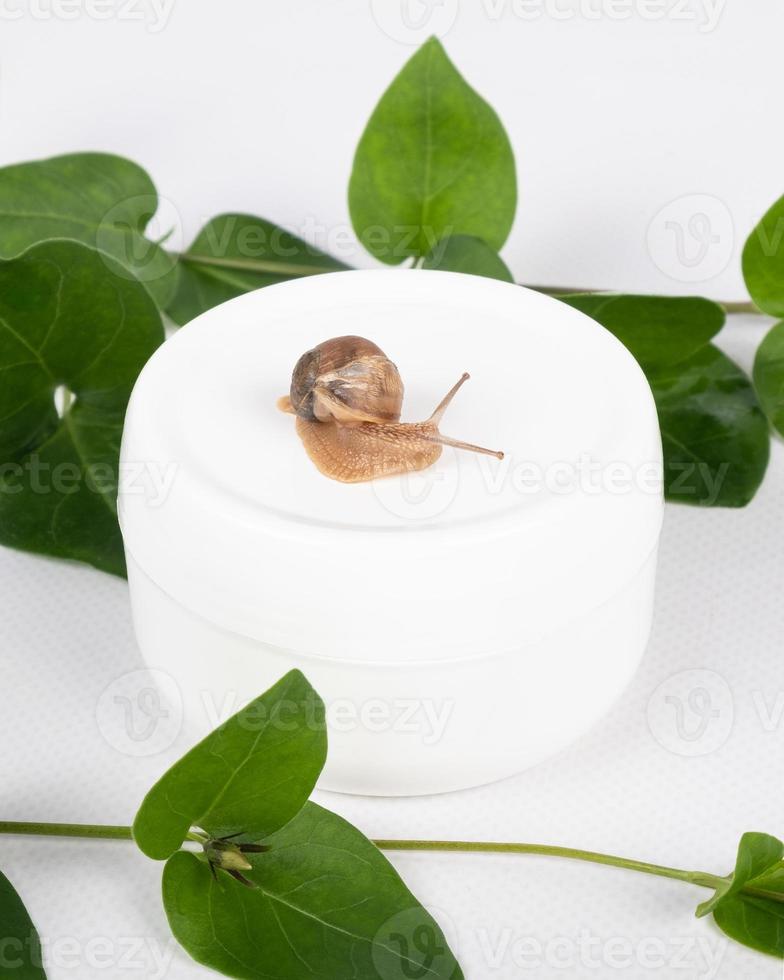 white natural cosmetic cream with snail mucin photo