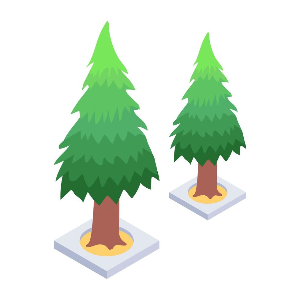 Isometric Pine Trees vector