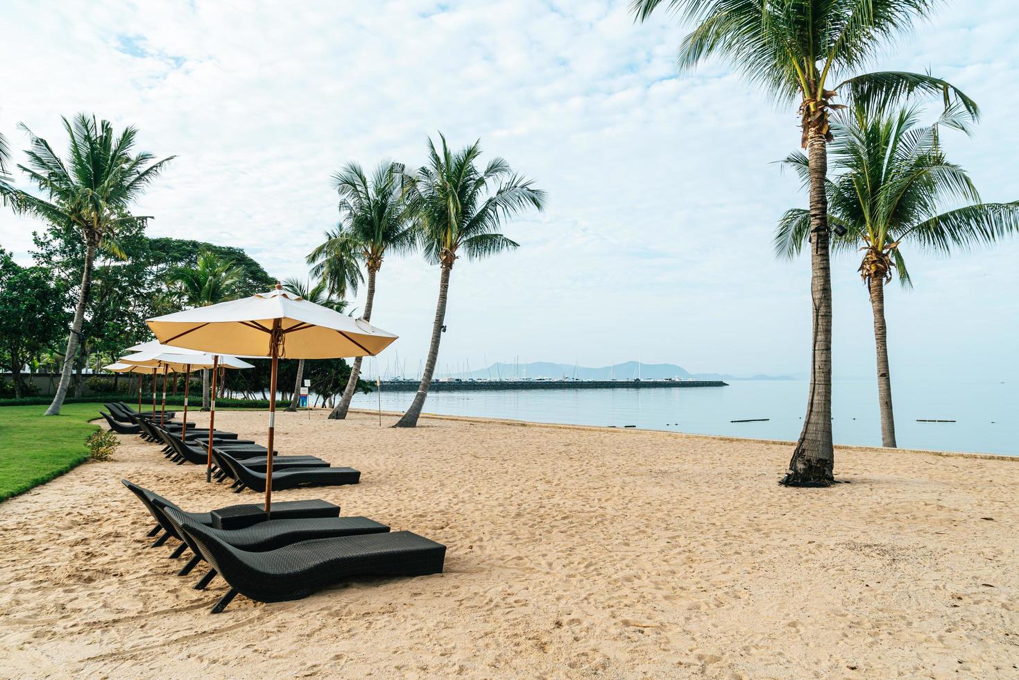 Empty beach chair with palm trees on beach with sea background photo