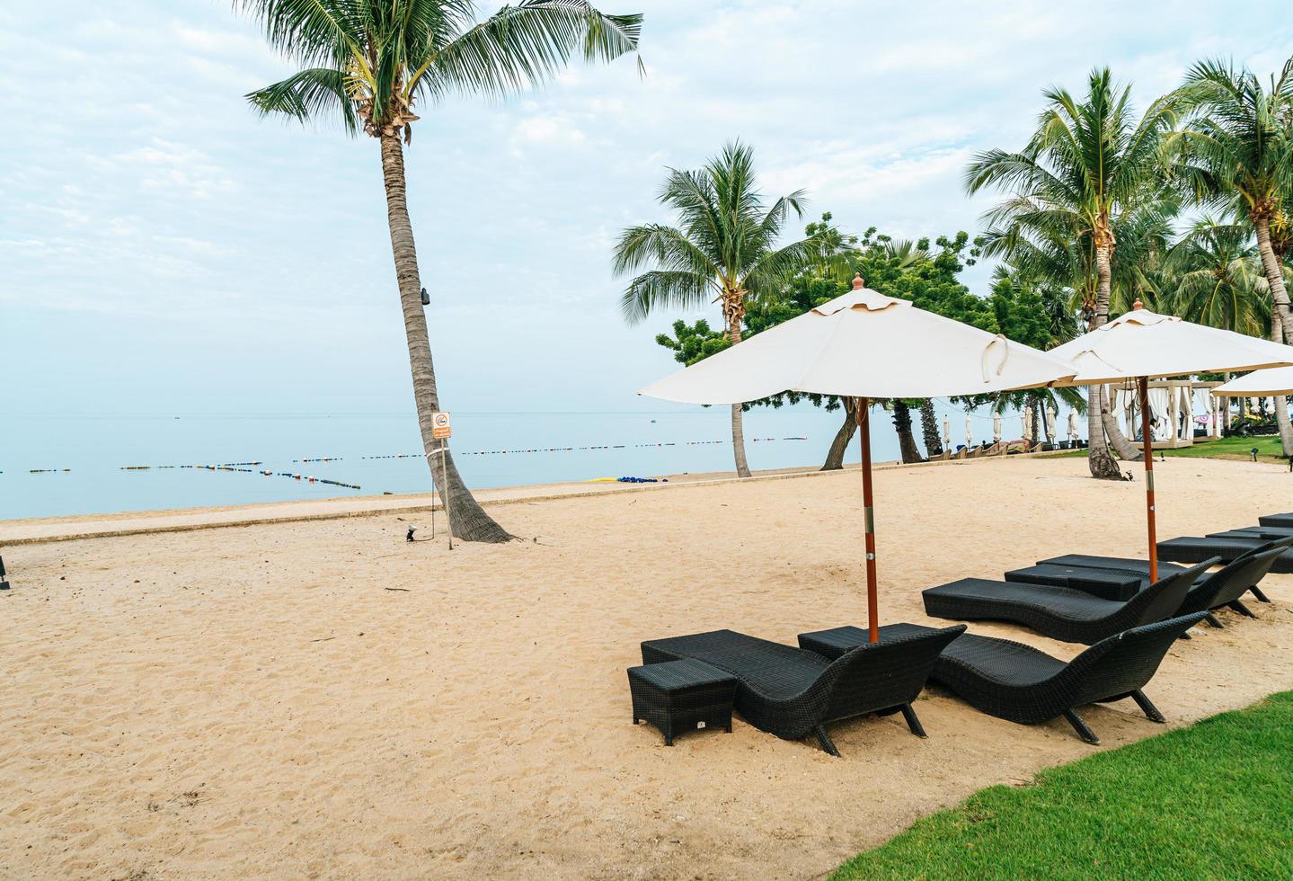 Empty beach chair with palm trees on beach with sea background photo