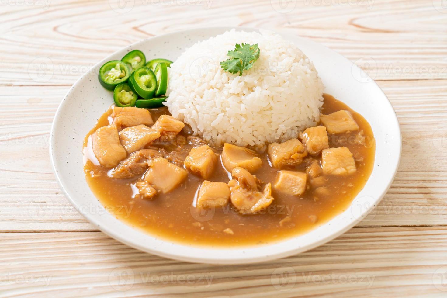 Chicken in brown sauce or gravy sauce with rice photo