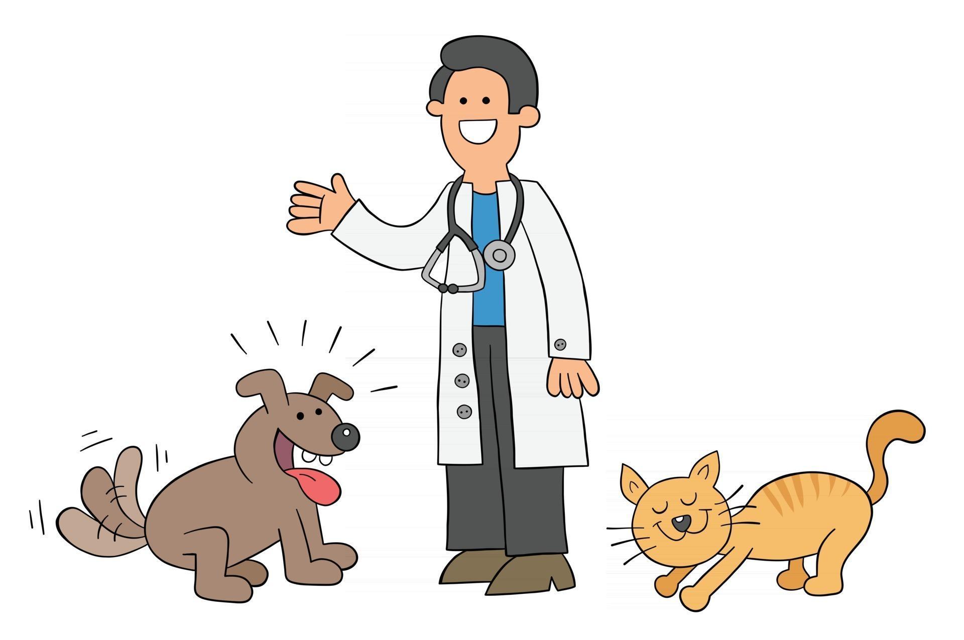 Cartoon the Vet is With the Cat and Dog and They are Very Happy Vector